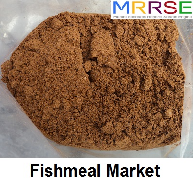 Fishmeal Market.jpg