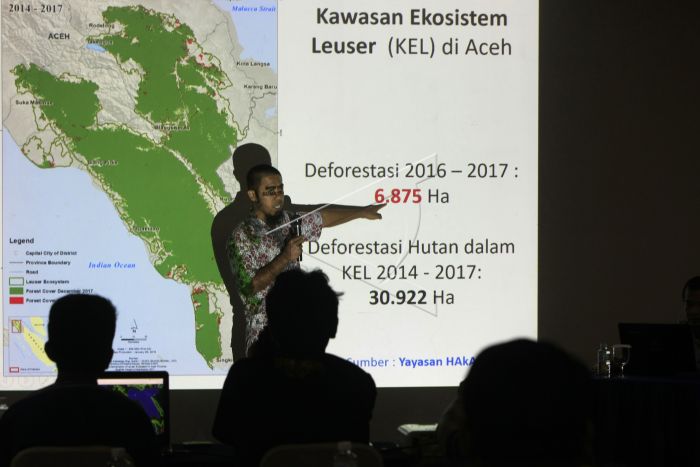 kerusakan-kawasan-ekosistem-leuser-antara.jpg