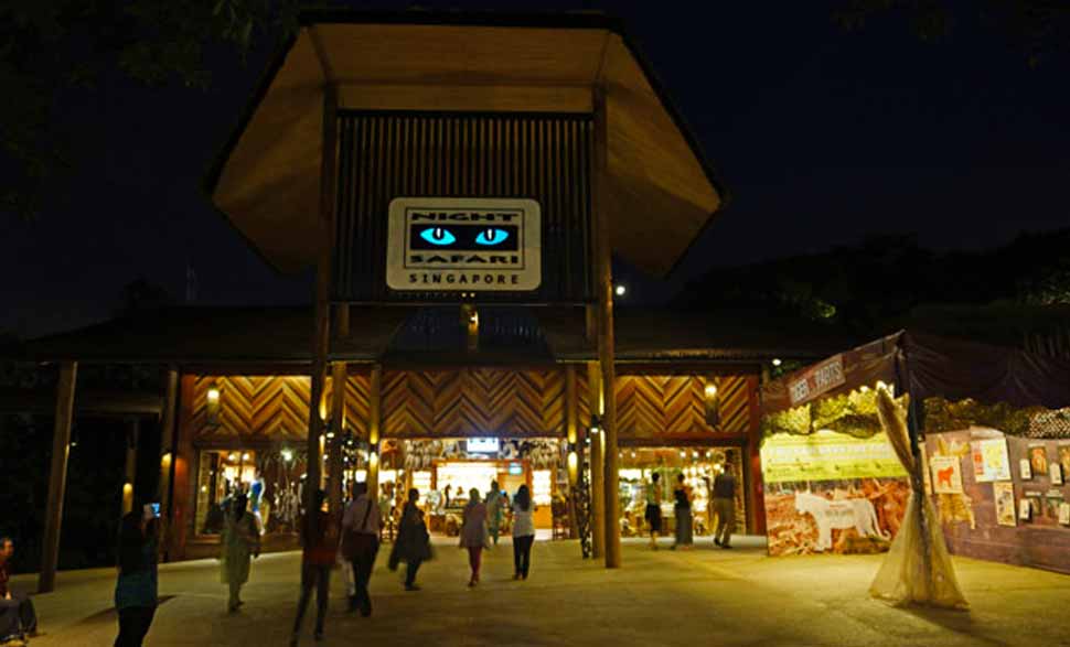 singapore-night-safari.jpg