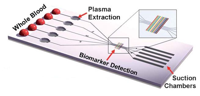 SIMBAS_lab-on-a-chip_design.jpg