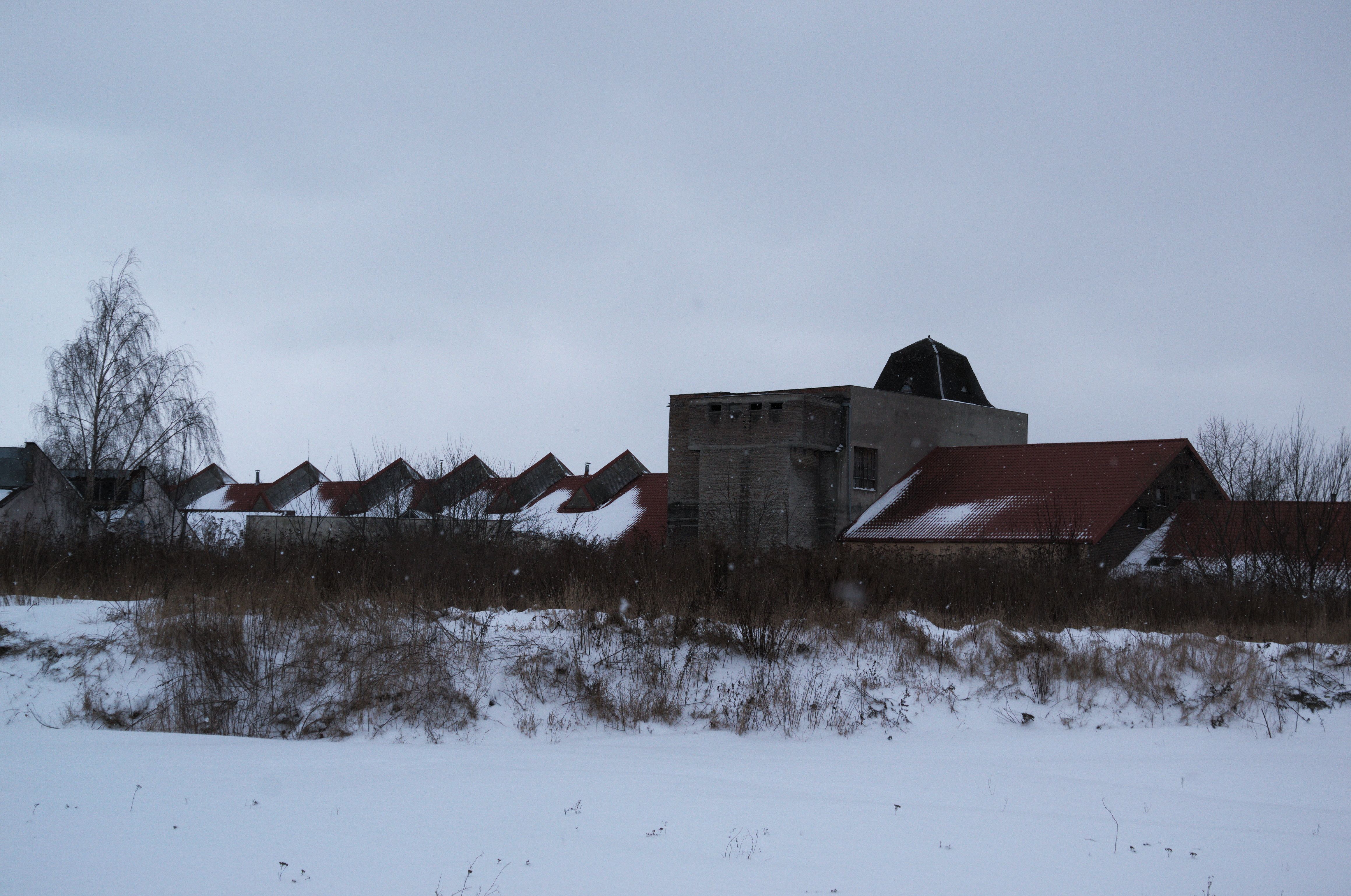 DSC_0525.NEF.jpg