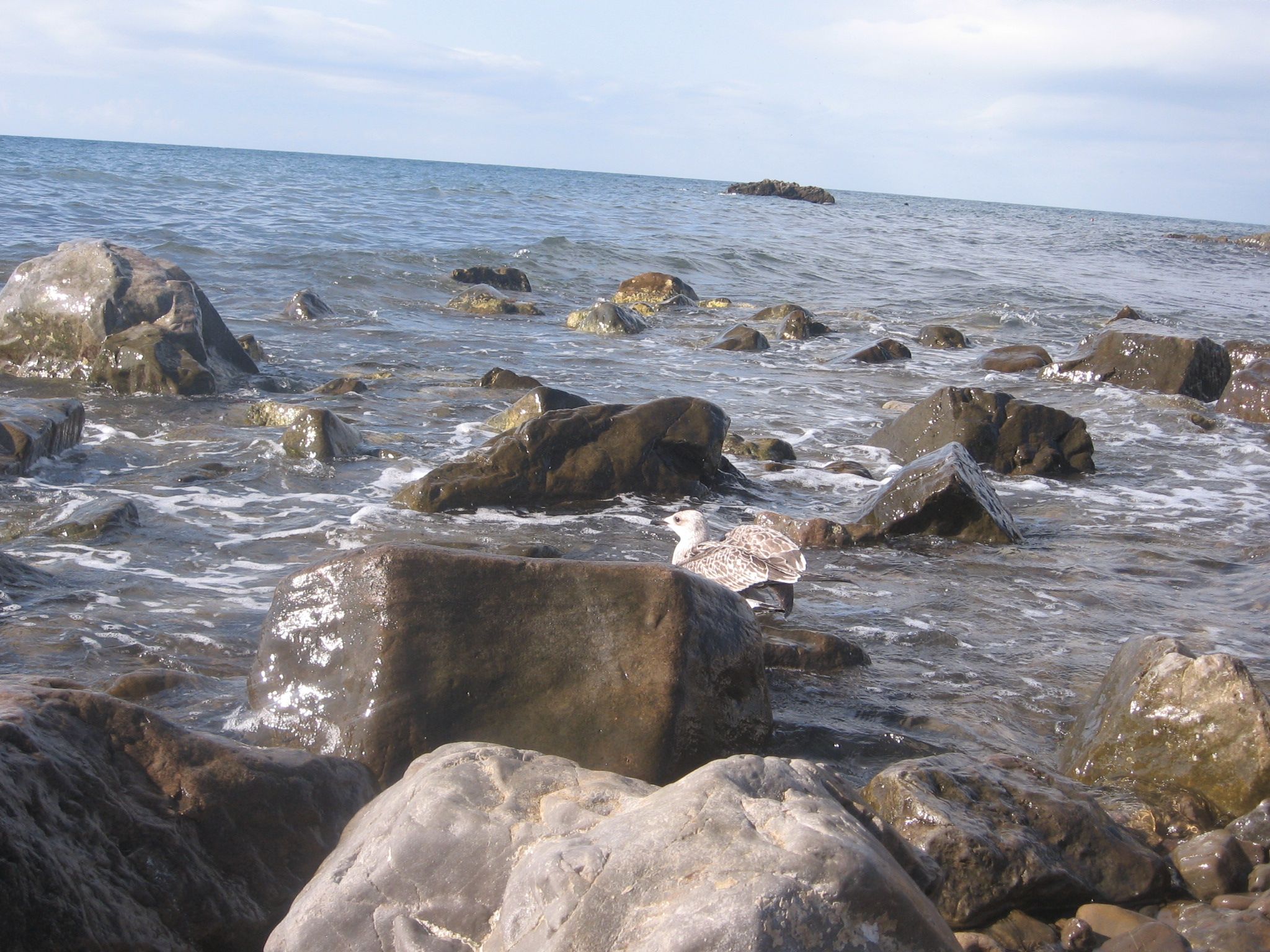 море2012 085.jpg