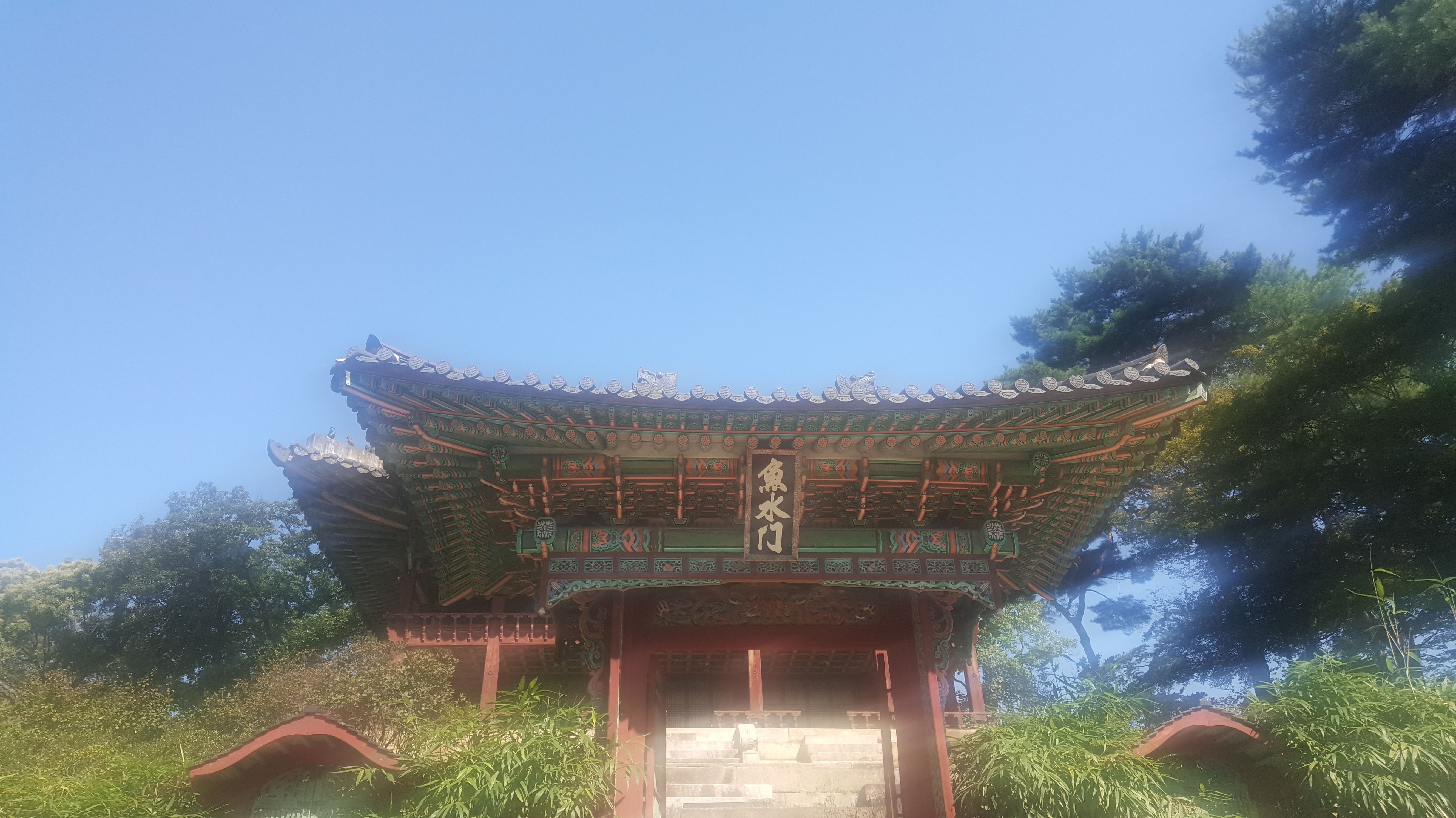 20170913_102109.jpg
