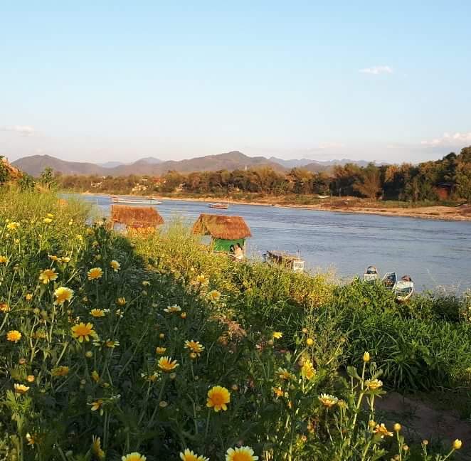 FB_IMG_1524809483135.jpg)
ວັນນັ້ນທີ່ພວກເຮົາໄປອາກາດດີຫລາຍ, ລົມພັດເຢັນສະບາຍ ວິວສວຍງາມດີ ມີສວນດອກໄມ້ງາມໆໃຫ້ພວກເຮົາໄດ້ຖ່າຍຮູບສວຍໆມາຝາກເພື່ອນໆ![