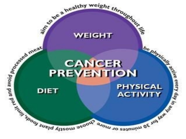 Proper Weight and Diet - Cancer Prevention - Doctor's Guide | PDF