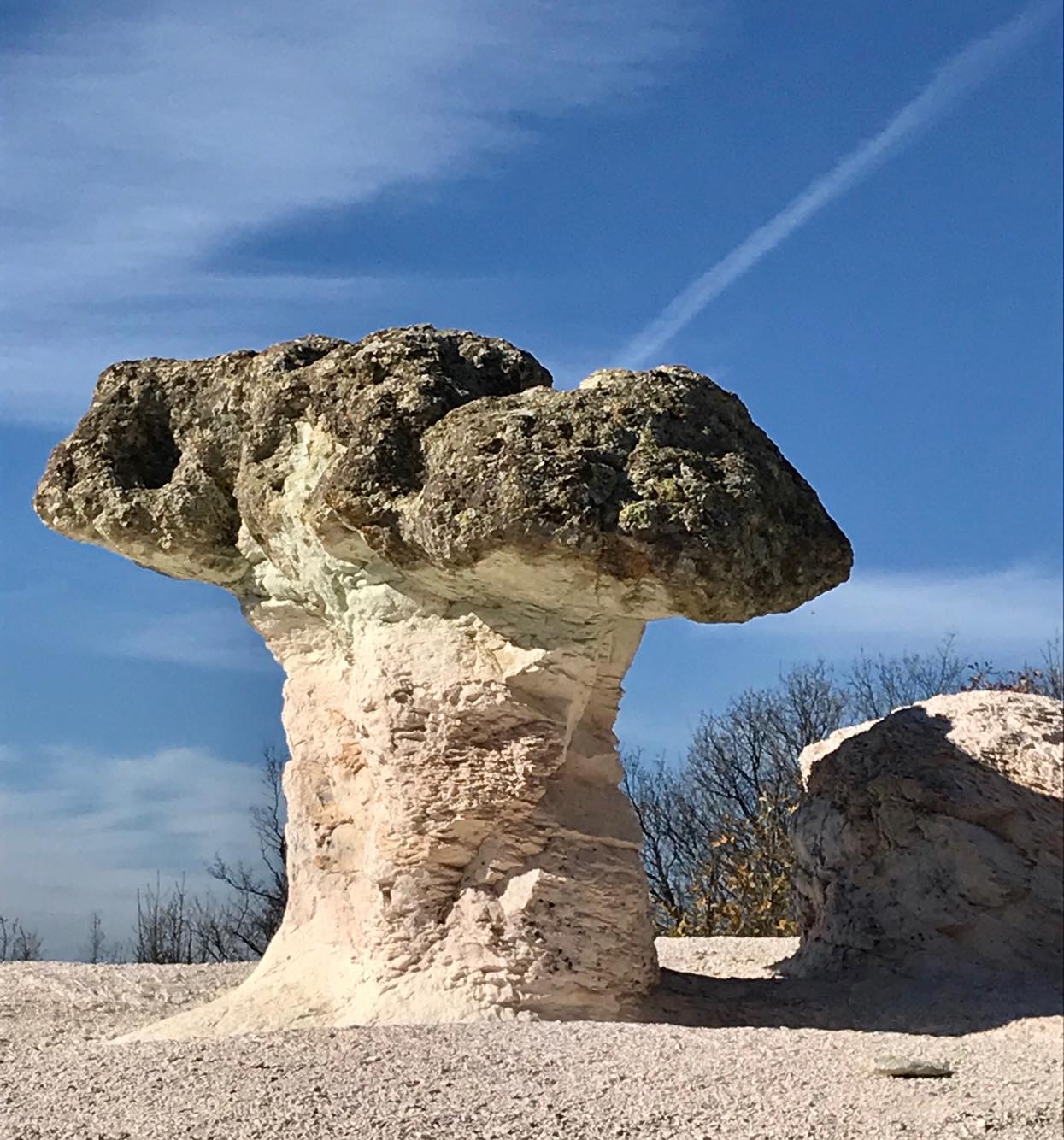 Stone mushroom.jpg