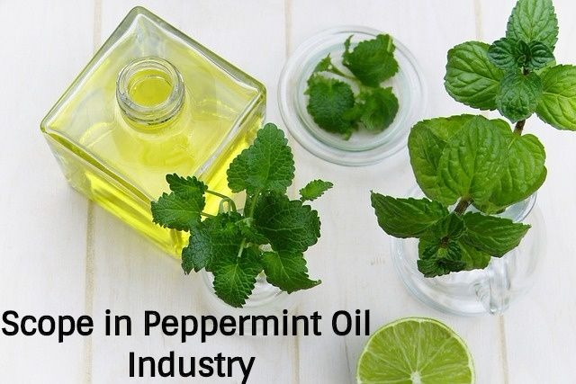 Peppermint Oil Market.jpg