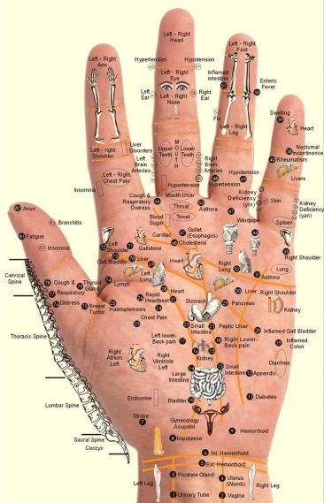366xNxLeftHandAcupressure.jpg.pagespeed.ic.8LRJhf7Duh.jpg
