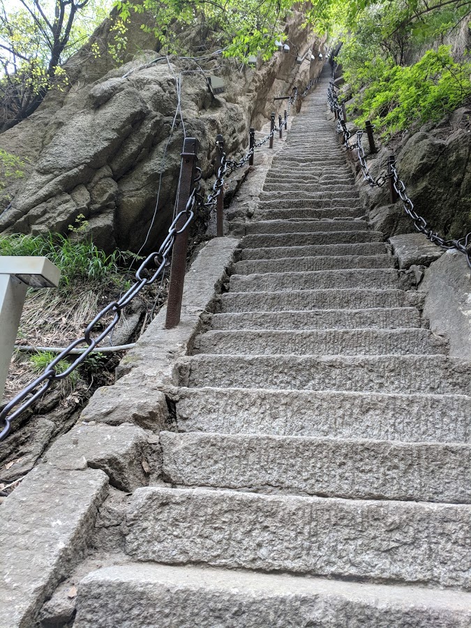 the steepest walkway on earth.jpg