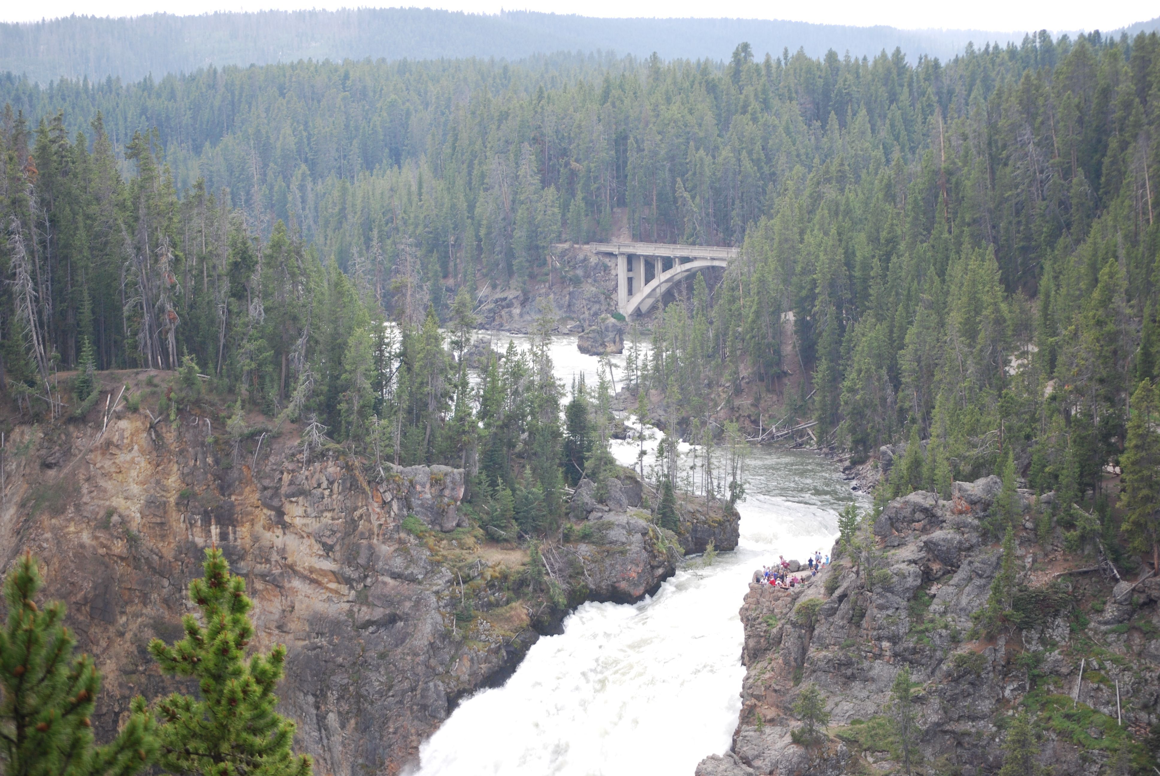 2008_Yellowstone_410.jpg