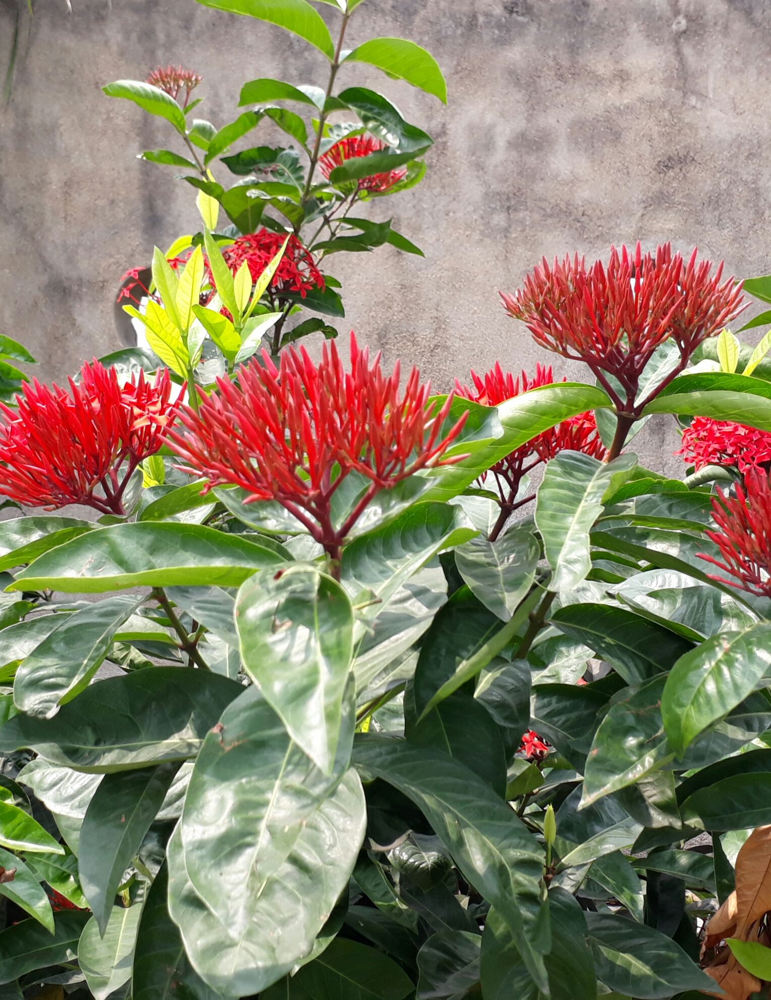 20170916_183551.jpg