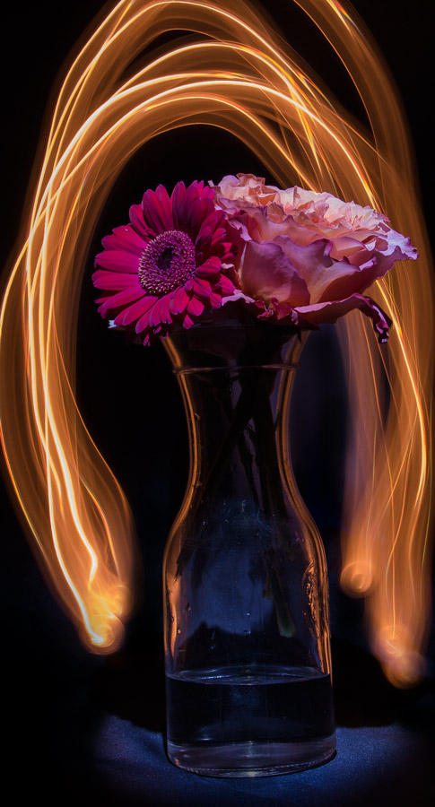 lightpainting_pitaya_2.jpg