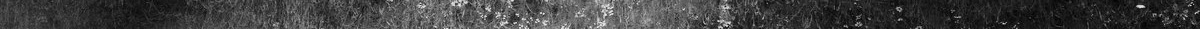 bw-invert-strip.jpg