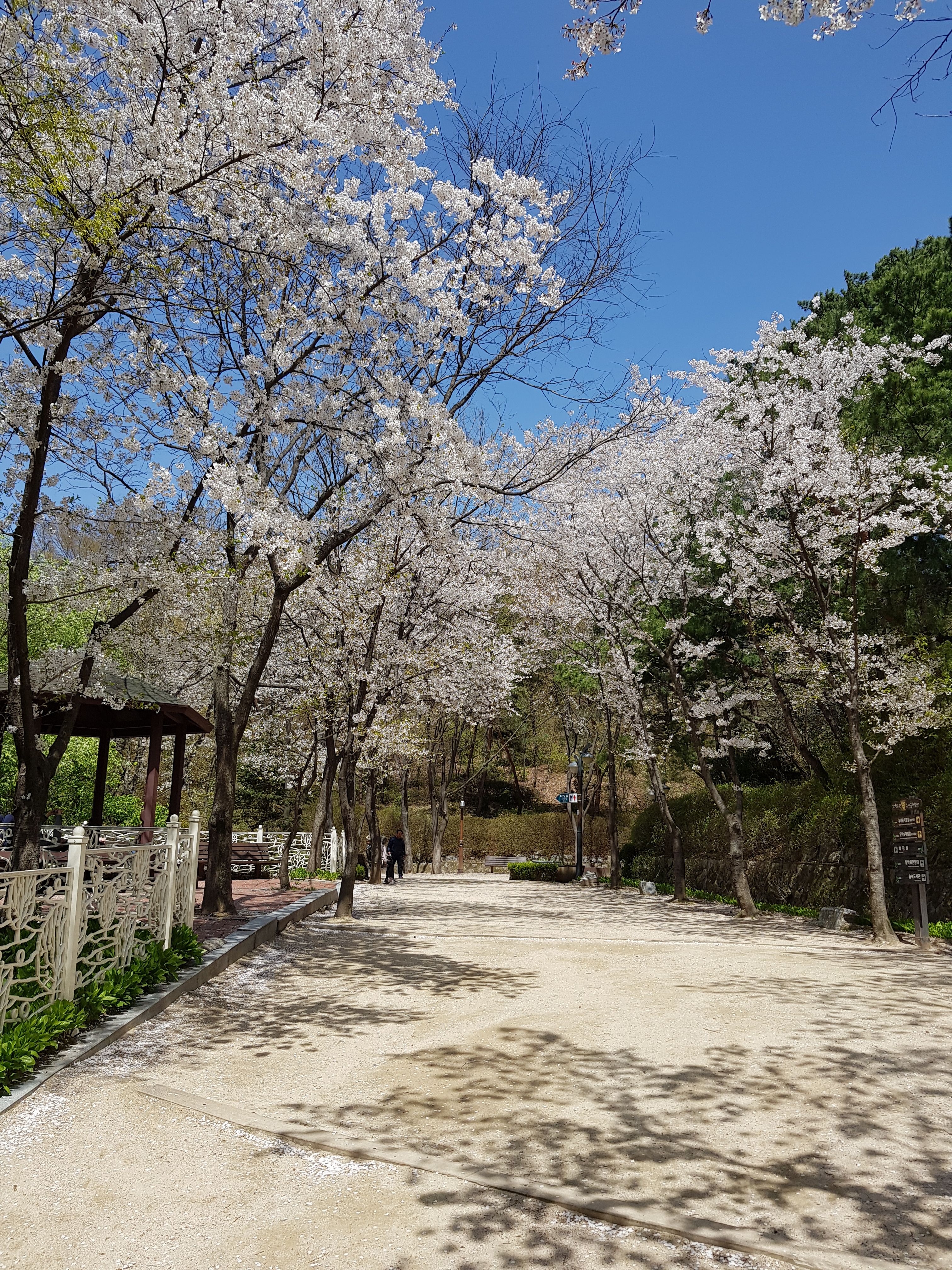 20180412_122448.jpg
