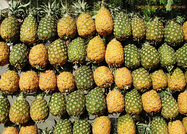 pineapple-03.jpg