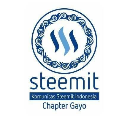 STEEMIT GAYO.jpg