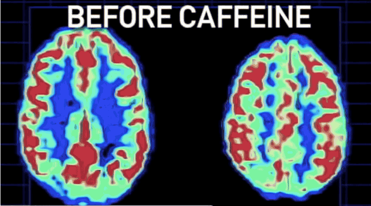 Before And After Caffeine Gif Before And After Caffeine Gif