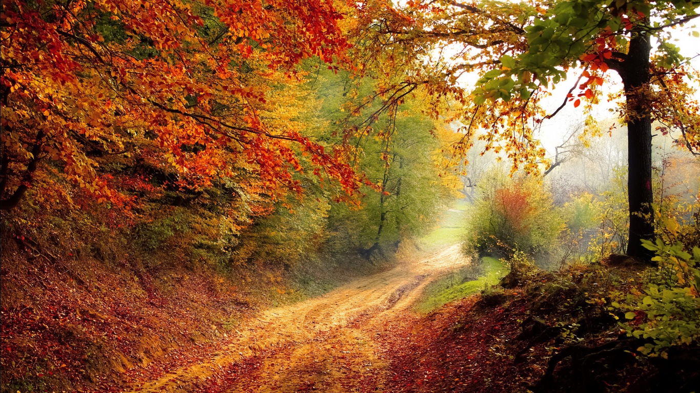 beautiful_autumn_road-1366x768.jpg