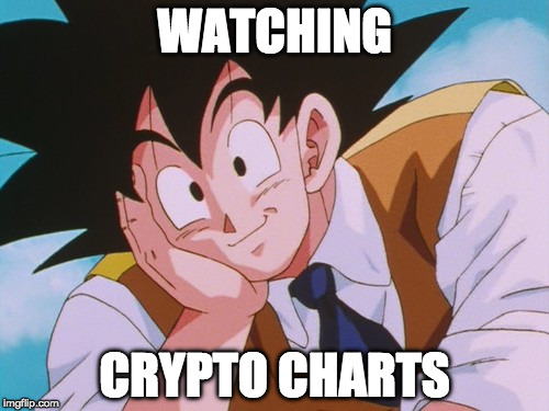 watching crypto charts.jpg