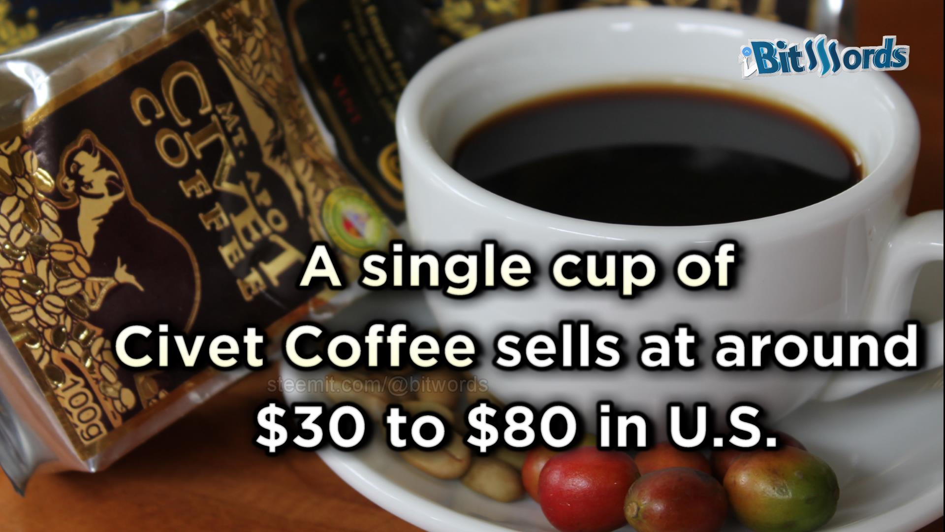 bitwords steemit most expensive coffe kopi luwark (4).jpg