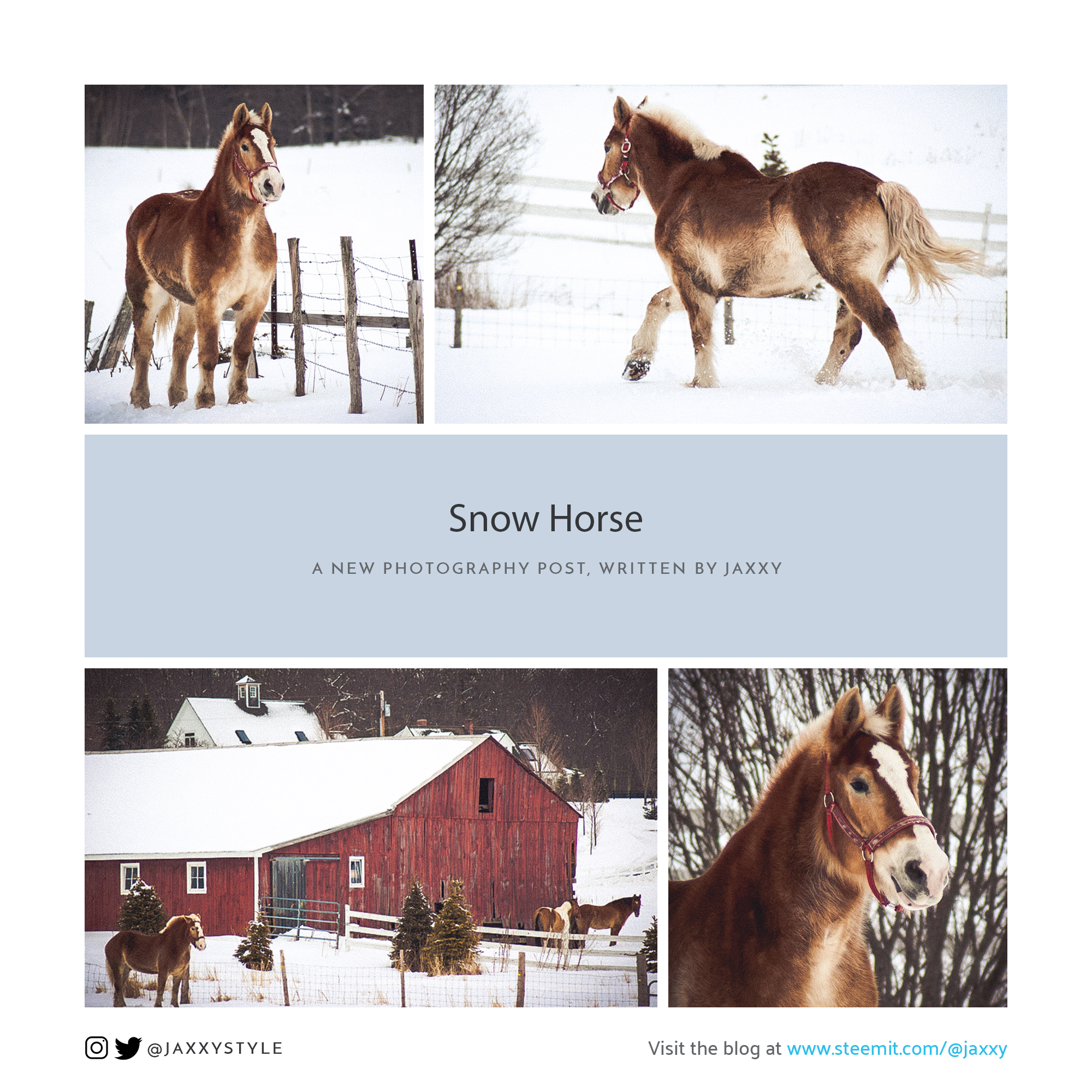 SnowHorse-Collection_IG_TW.jpg