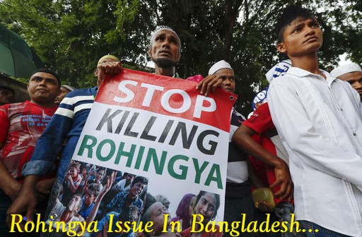 Rohingya-Issue.jpg