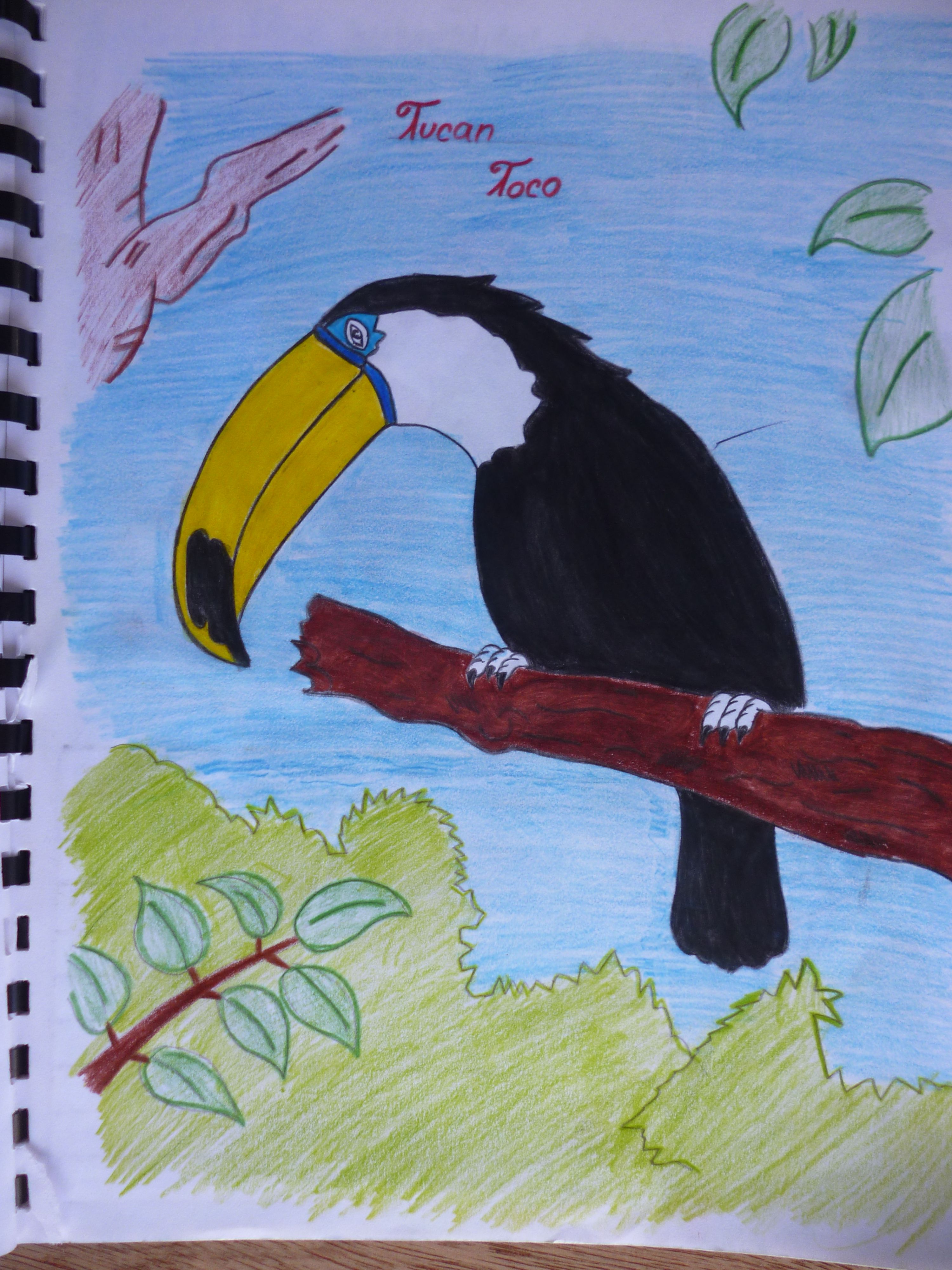 Mis dibujos: Animales en peligro de extinción - (realizados hace 7 años) —  Steemit