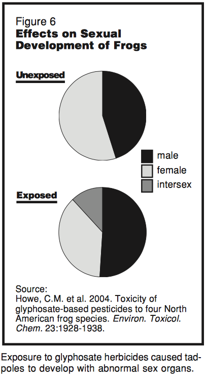 glyphosate effects on frogs graphs.png