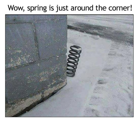 Spring is just around the corner.png