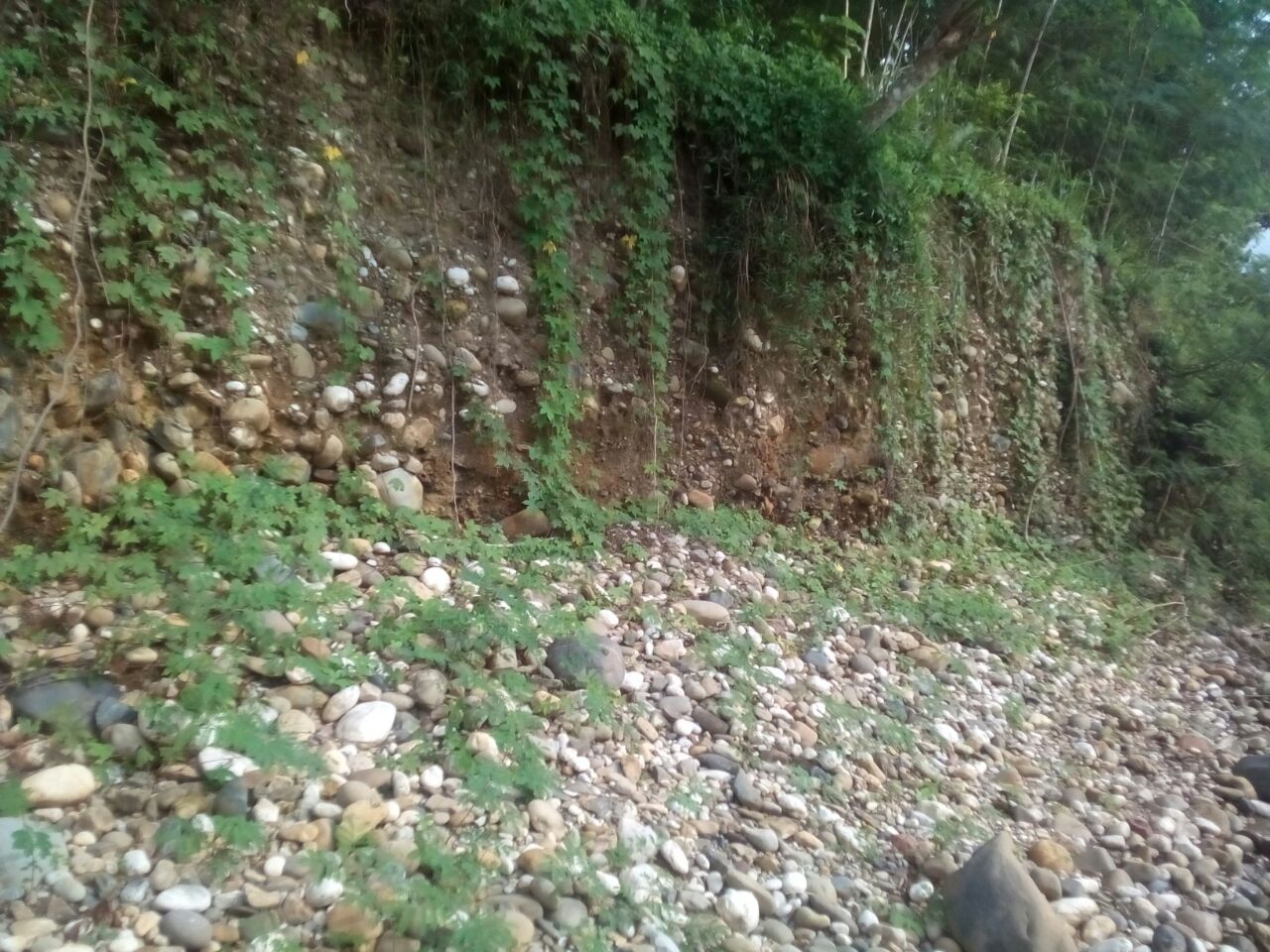 IMG-20170907-WA0000.jpg