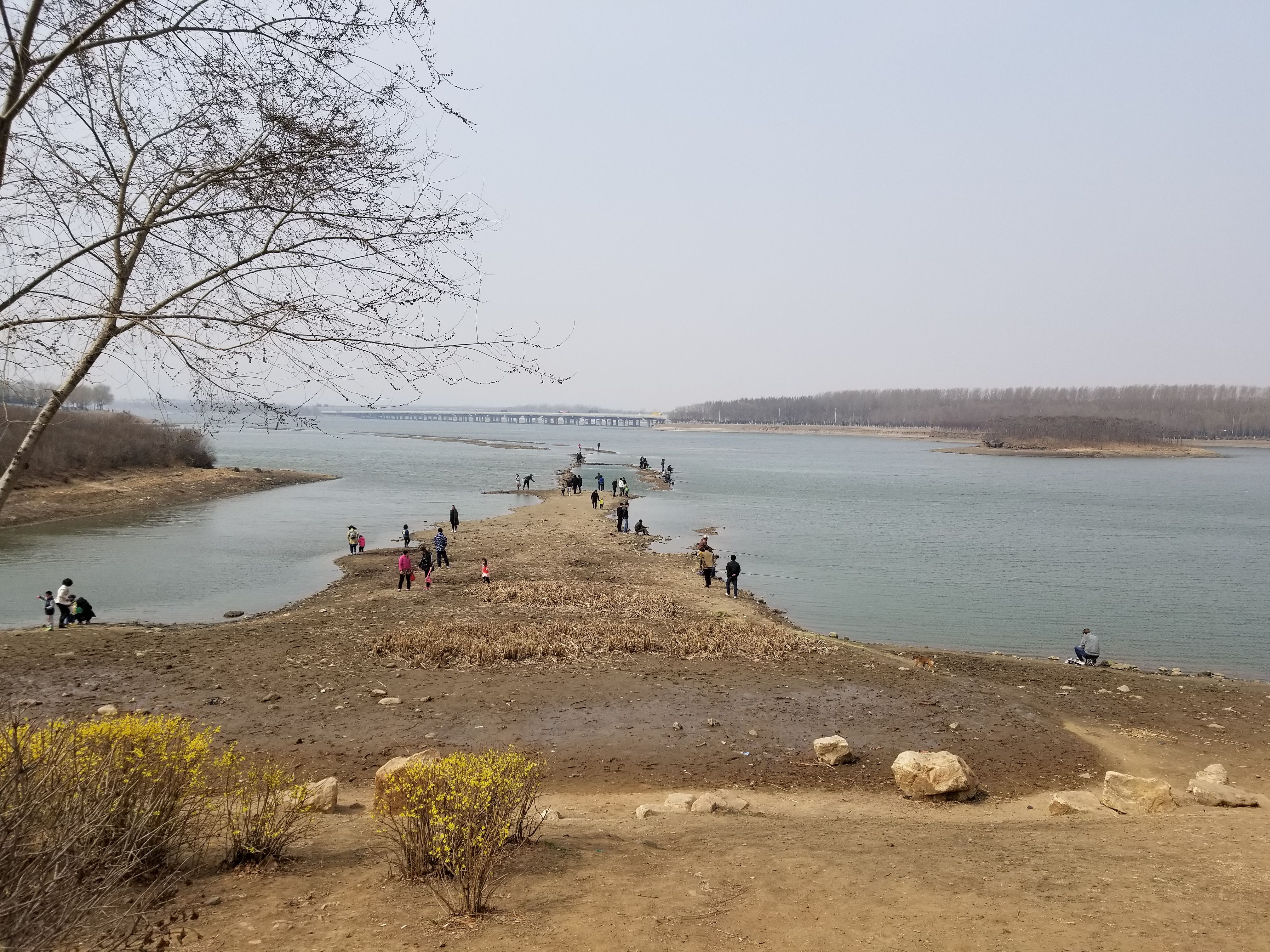 20180401_103138.jpg