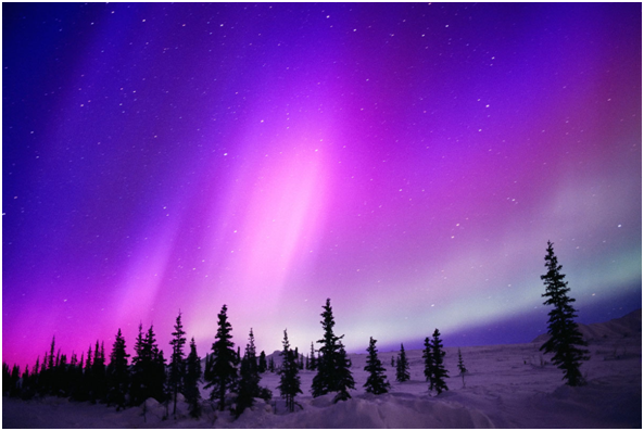 tro gips kort Colorchallenge Purple Sunday. Beautiful Lights — Steemit