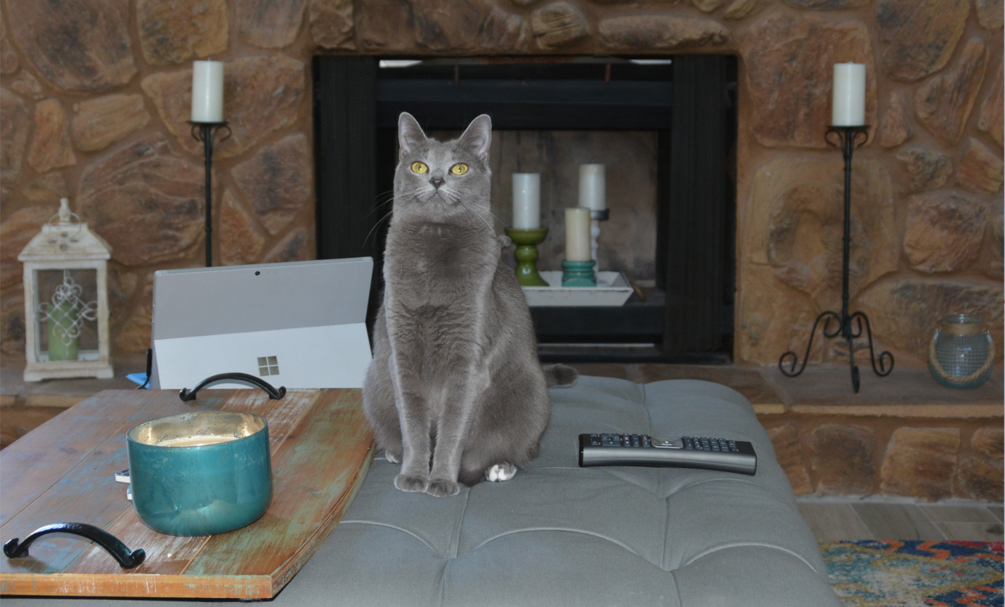 POSING - QUEEN OF THE LIVING ROOM.png