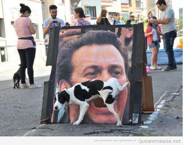 perro-gracioso-meando-orina-cartel-cara-hombre-boca-abierta.jpg