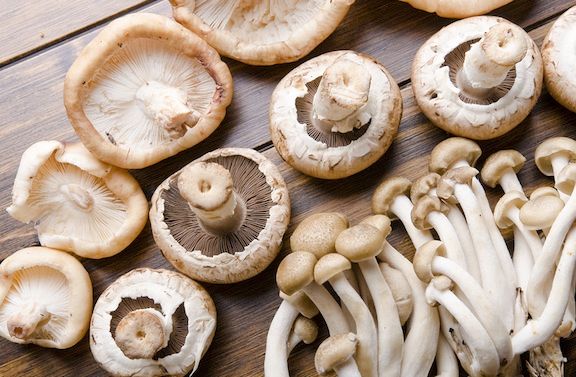 Asian mushrooms.jpg