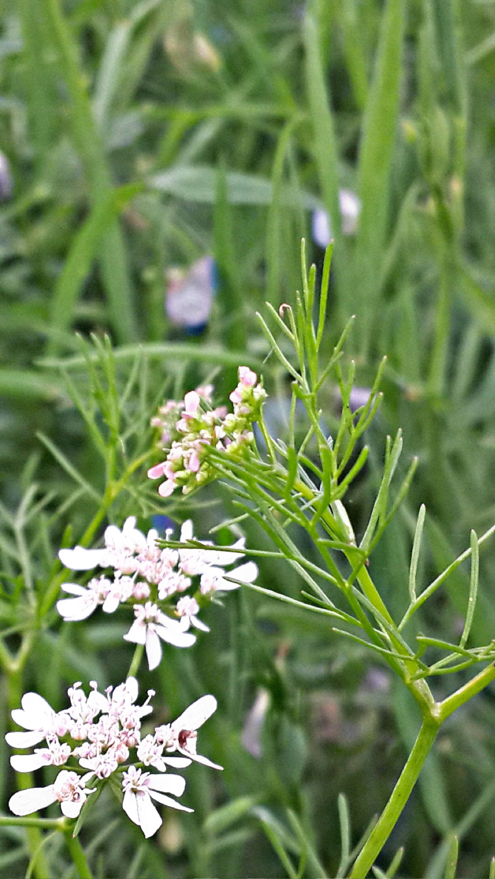 PicsArt_02-20-06.09.10.jpg