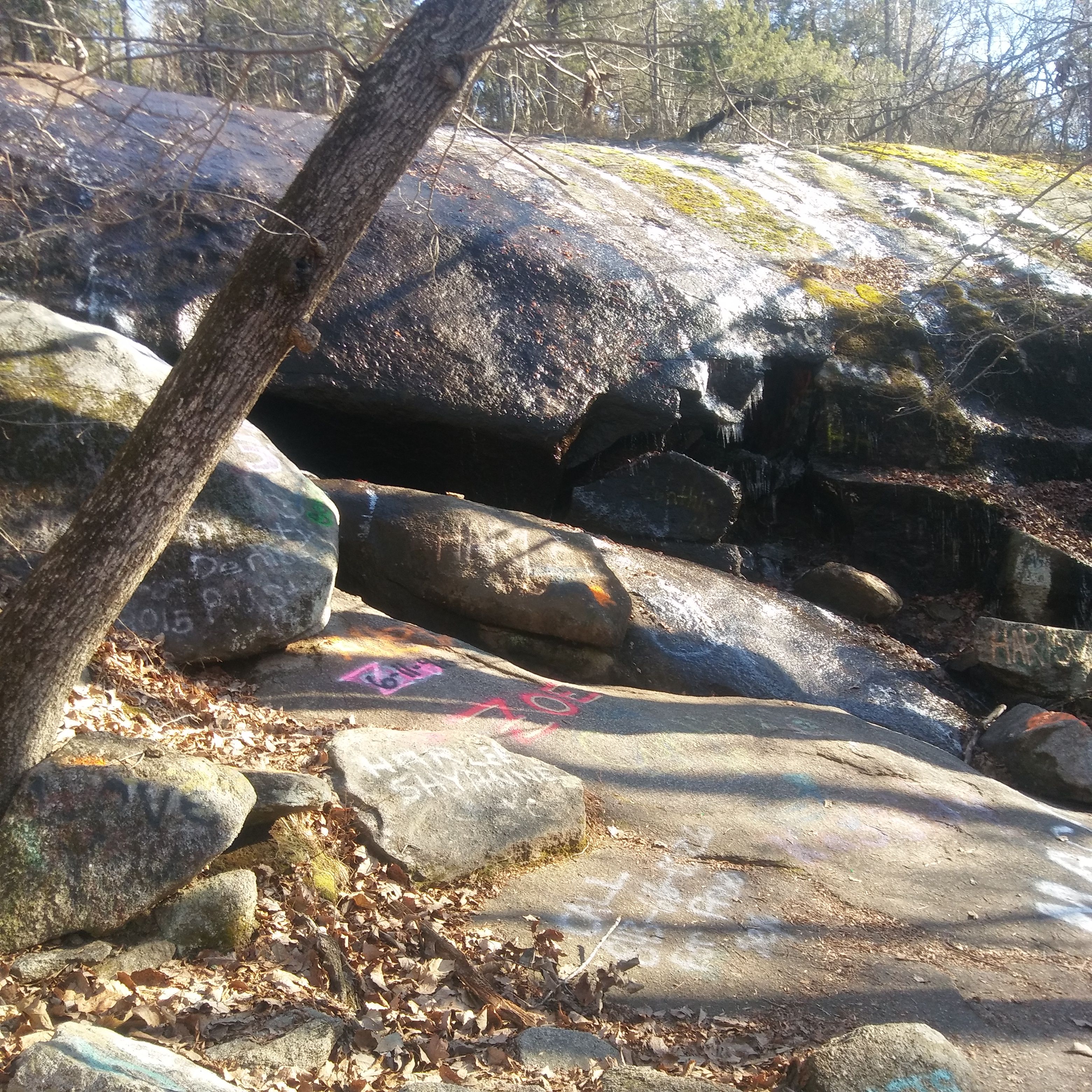 20180116_101402.jpg