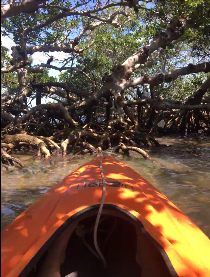 kayaking in florida keys.png