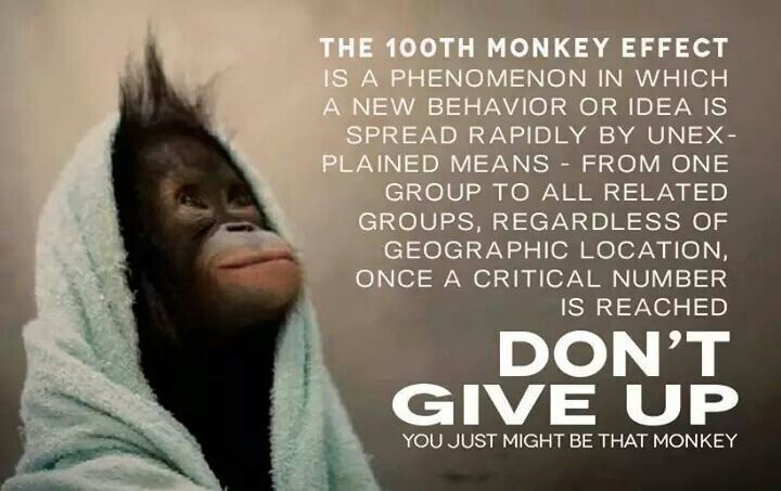 100th Monkey Effect.jpg