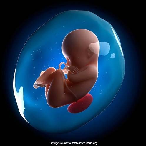 amniotic-fluid-keeps-your-baby-healthy.jpg
