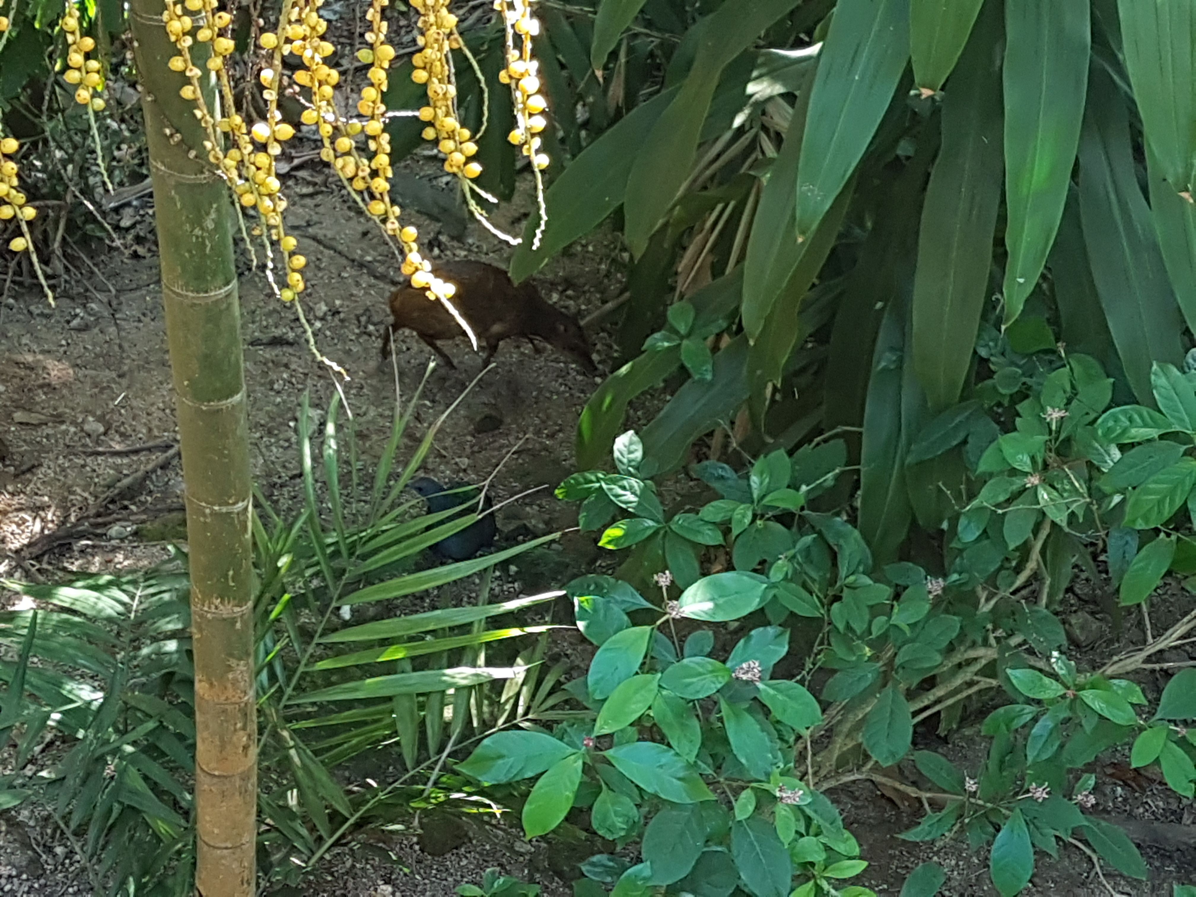 20180504_162335.jpg