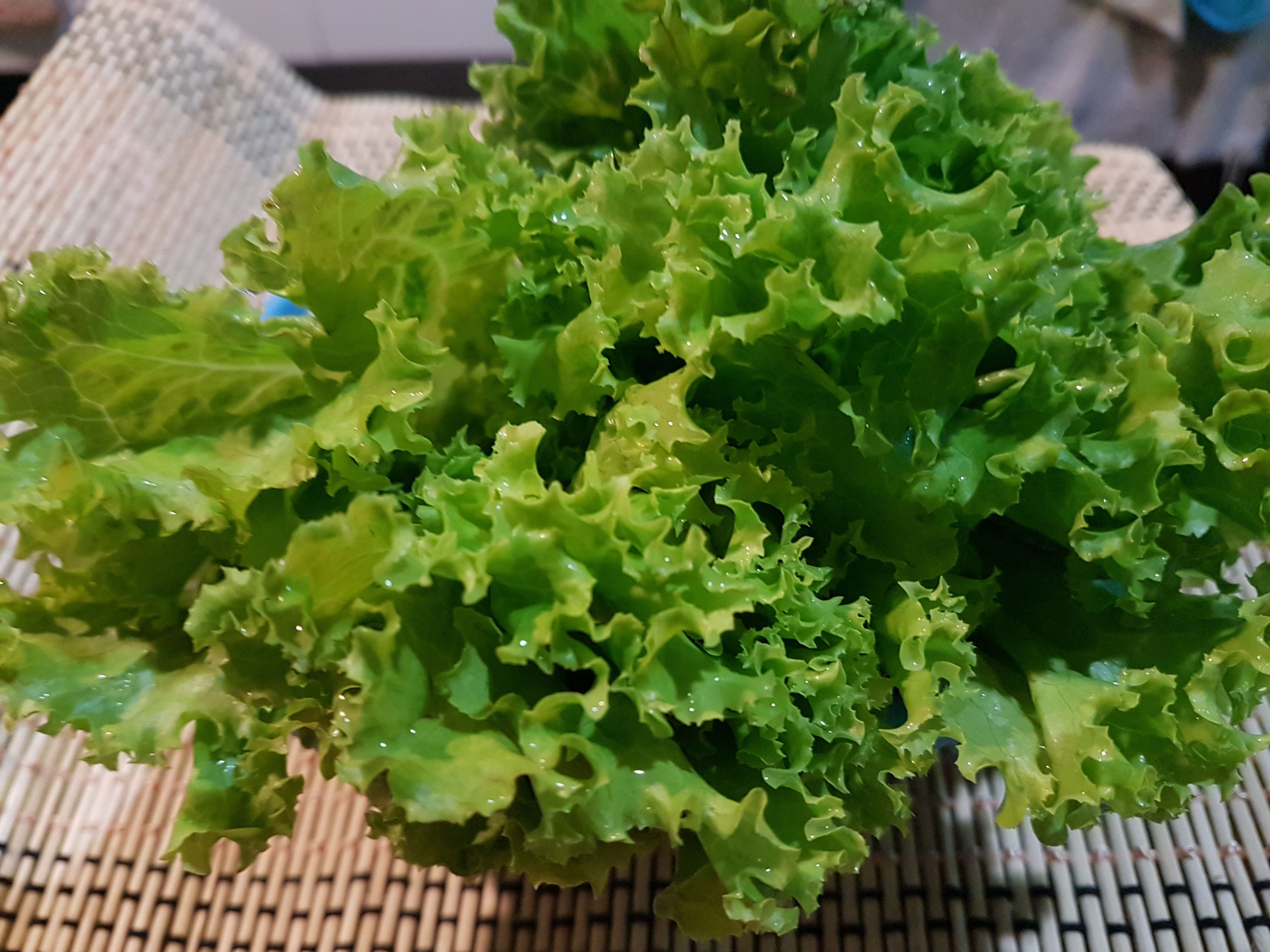 20180107_141206.jpg