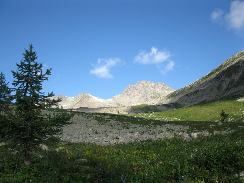 IMG_4402_ .JPG