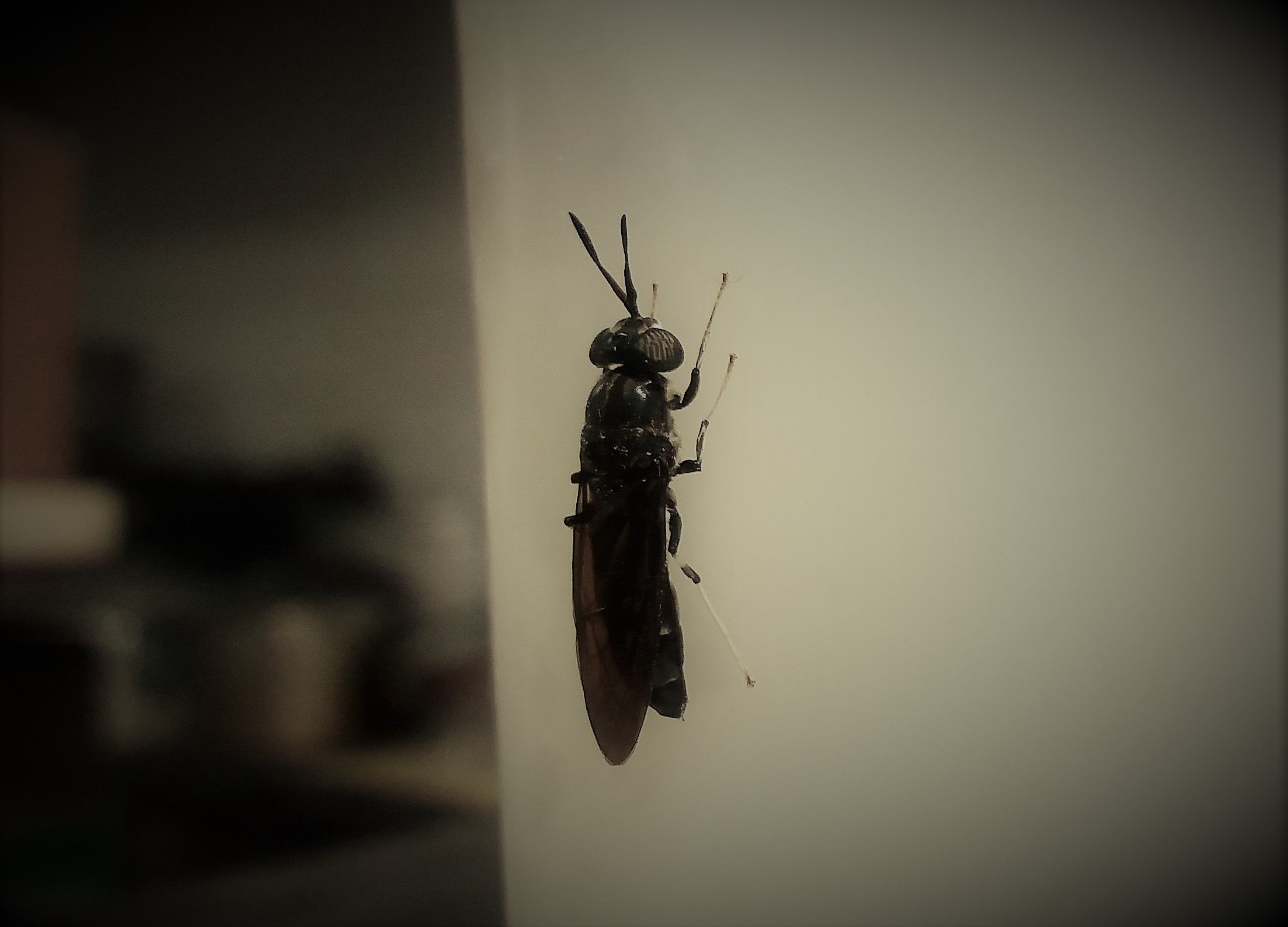 20170614_103807.jpg