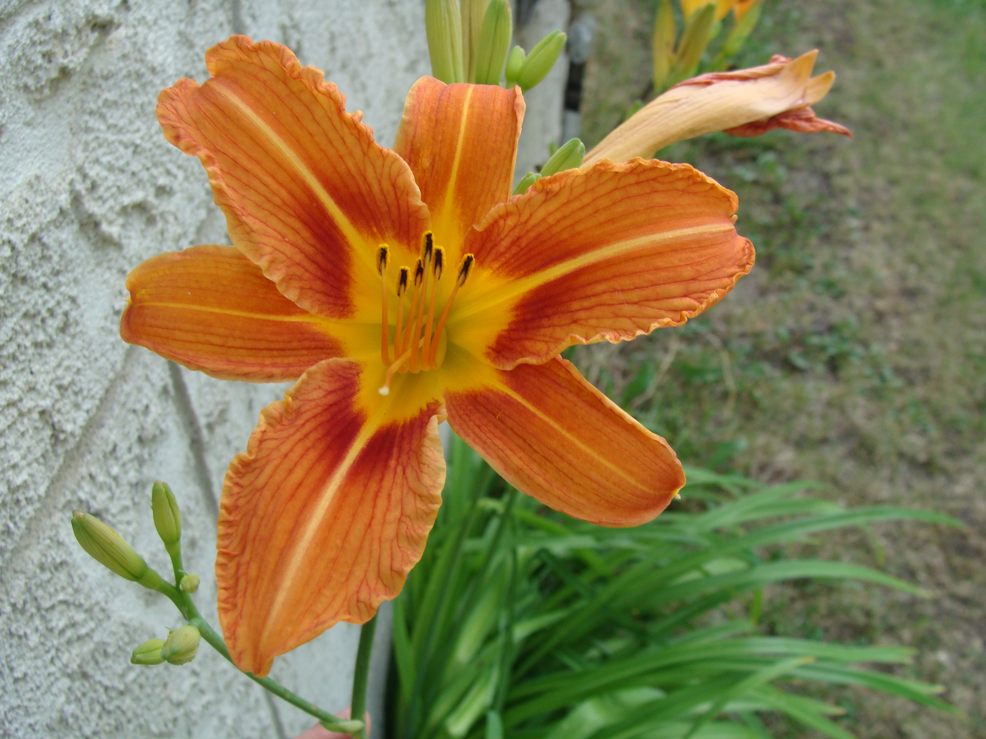 2012-07-14 19.17.17.jpg