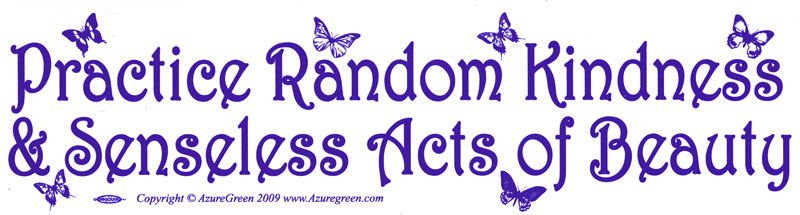 S646-Practice-Random-Kindness-and-Senseless-Acts-of-Beauty-Bumper-Sticker-Decal.jpg