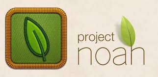 Project noah.jpg
