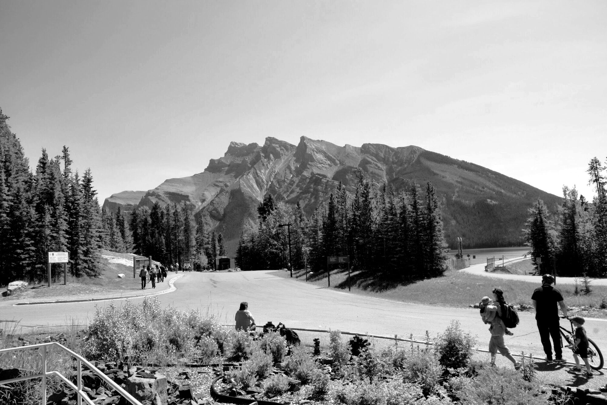 D609FFA6-CBDC-4F12-8D04-F3A58B6551C6.jpeg