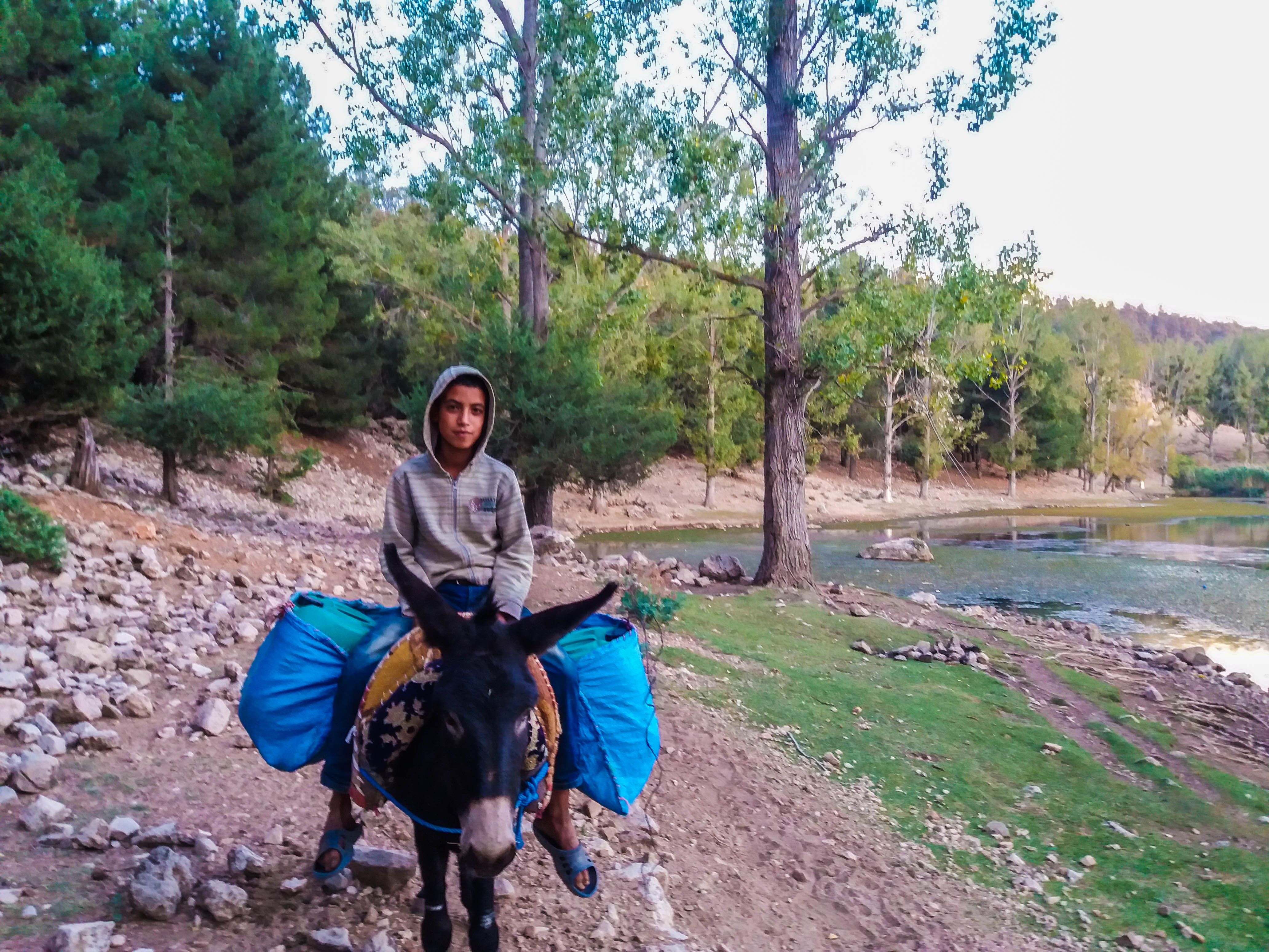 lightrroom2-- (1 sur 1).jpg