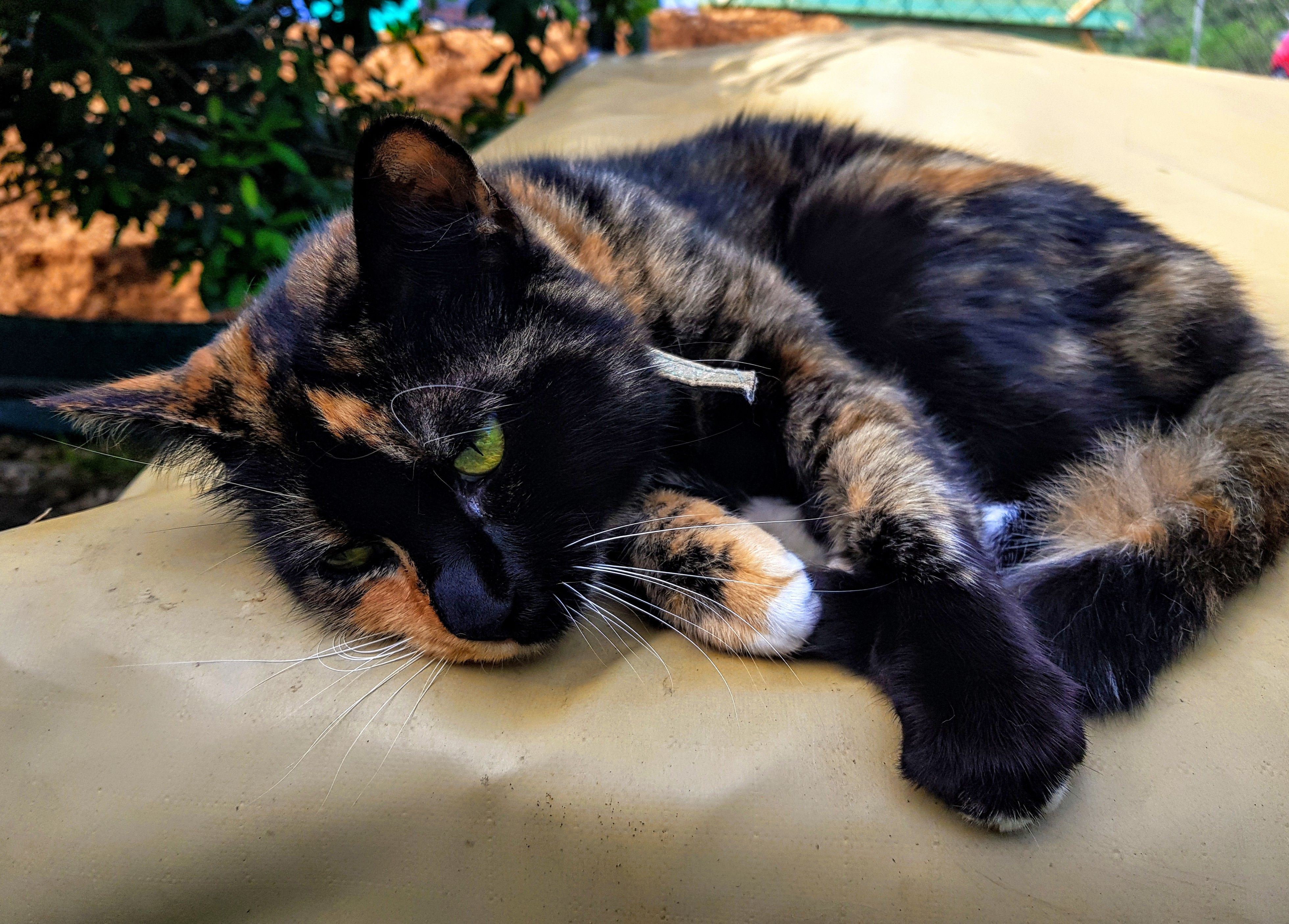 20180311_100752~2.jpg